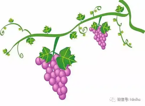 快看,家里有这些的赶紧改,别怪我没提醒哦