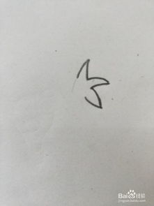 椰子树的简笔画教程