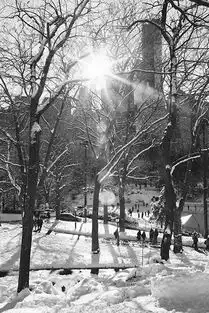 dustincantrell纽约中央公园黑白雪景