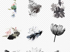 手绘水墨黑白荷花荷叶海报素材背景图片png