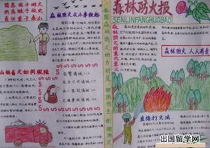 森林防火的手抄报模板和内容