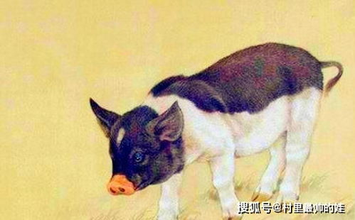 苦海无涯,7月是岸7月1日起不愁钱,不缺权的4大生肖