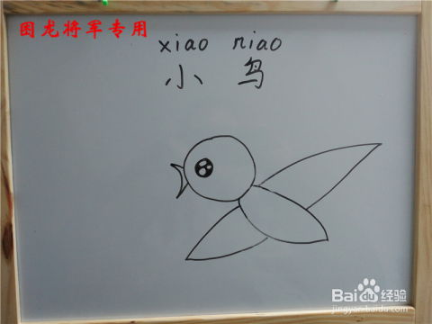 少儿简笔画之小鸟