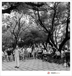 一杯清茶黑白摄影小品周末公园随拍