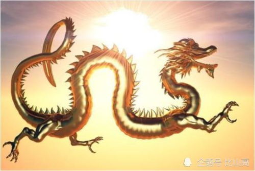 老人说的话真准生肖龙只要渡过3劫,未来50年龙龙得意