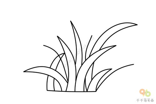 绿色植物草丛简笔画