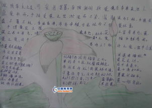 爱莲说手抄报图片10张
