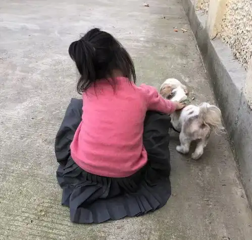 孙俪的美好生活指南遇见你,陪伴你
