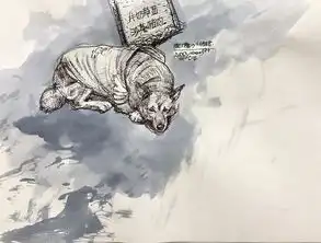 插画插画习作addysohozcool