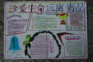 禁毒手抄报年新中国的禁毒运动