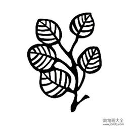 各种形状树叶的简笔画