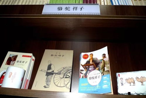 骆驼祥子博物馆媒体和游客聚焦的网红之地
