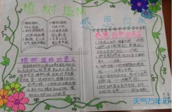 关于植树节的小报图片植树节小报大全简单漂亮