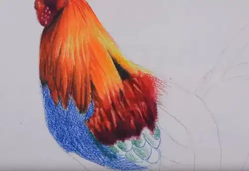教程超详细步骤,教你用彩铅画一只大公鸡
