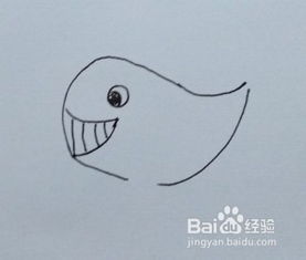 儿童简笔画鲸鱼画法教程