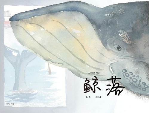 鲸落