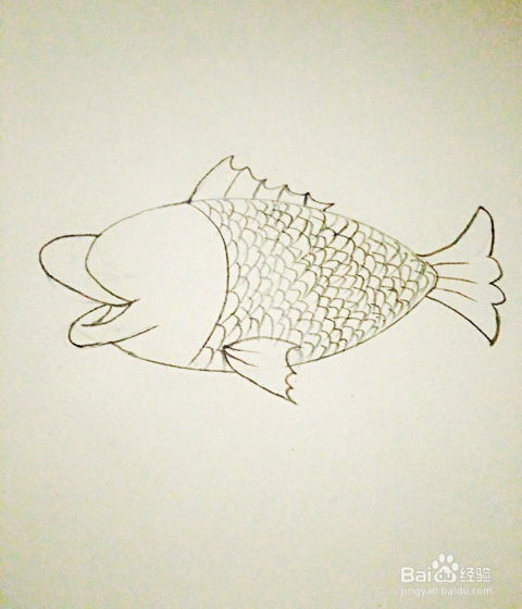 如何画鲤鱼简笔画