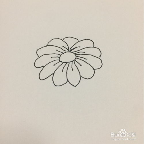 怎样简笔画菊花
