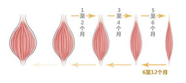 瘦脸针瘦脸真的有效吗