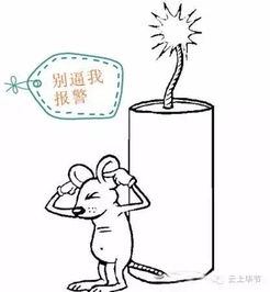 讷河街里大半夜的放烟花爆竹,网友直呼受不了