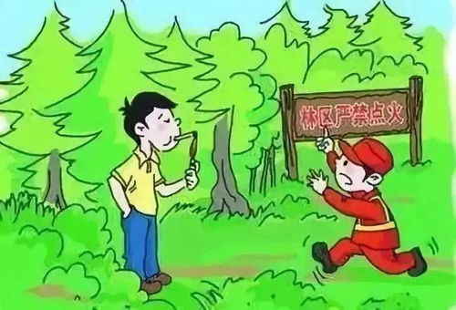 6月防火季到来,牢记森林防火十不要
