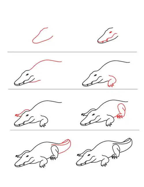 每天学一幅简笔画超实用动物简笔画大全步骤图50张动物详细步骤画法教程图片