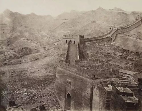 渐寒的一周我们看啥展览jyz观展指南