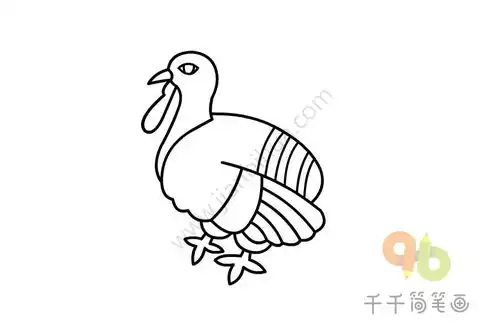 火鸡简笔画教程