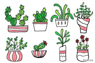 小盆栽植物手绘简笔画