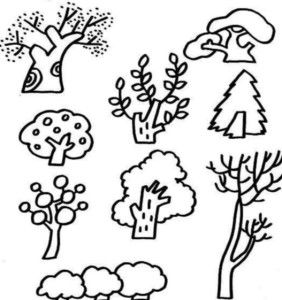植物简笔画