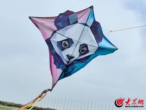 2024潍坊风筝嘉年华粽情端午放飞梦想风筝放飞活动成功举办