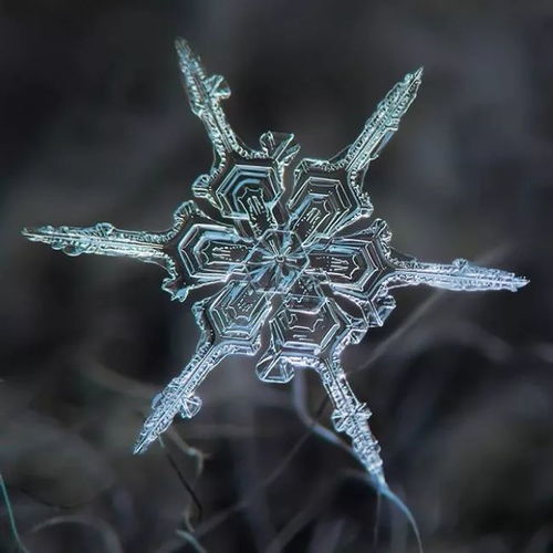 雪花的世界,如果把雪花放到无限大,拍摄下来会多美