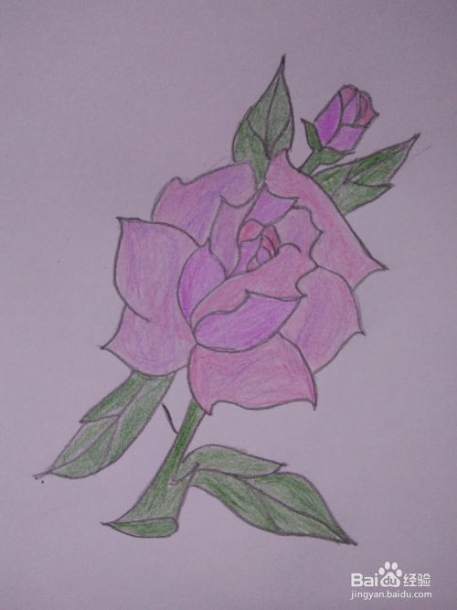简笔画如何画一支玫瑰花