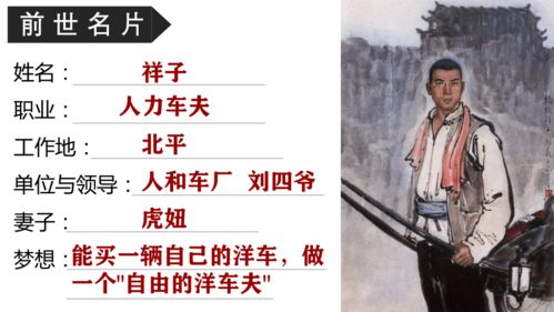 第三单元骆驼祥子名著复习课件25张ppt