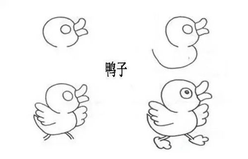 动物简笔画图片