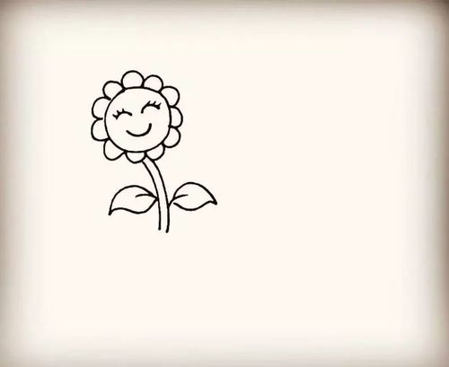 幼儿园简笔画教程向日葵,小渔村,小乌龟