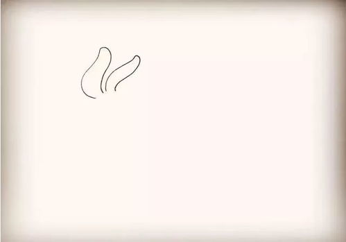 可爱的小兔子,简笔画教程