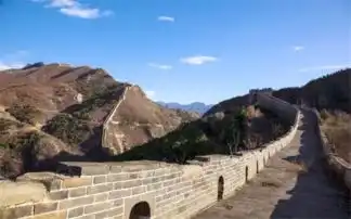 新闻动态详情
