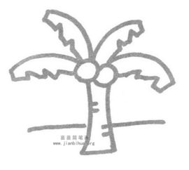 椰树儿歌和简笔画教程