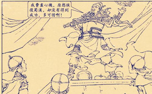 诸葛亮提拔一个文盲大将,收了一个军事奇才,延续了蜀国30年国运