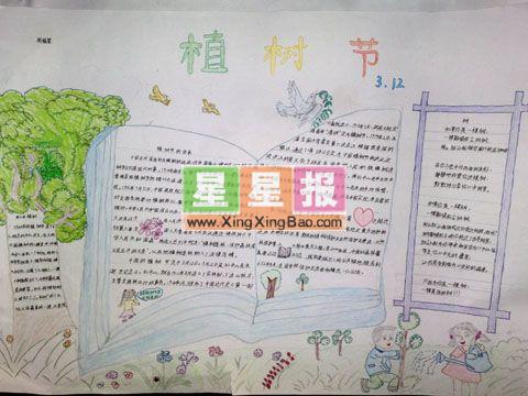 小学植树节手抄报作品