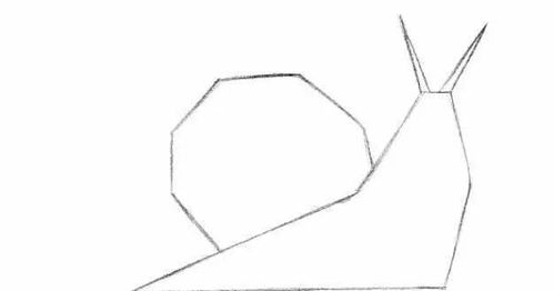彩铅动物教程零基础画一只蜗牛,彩铅动物教程图解步骤