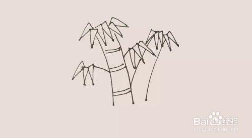 timthumb