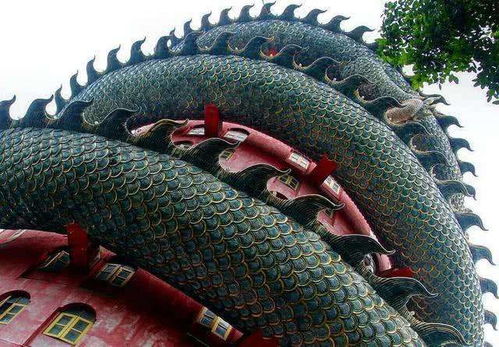泰国最霸气寺庙高达80米被巨龙缠绕,知名度高却不想变成景区