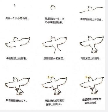 小动物简笔画教程,快马起来学