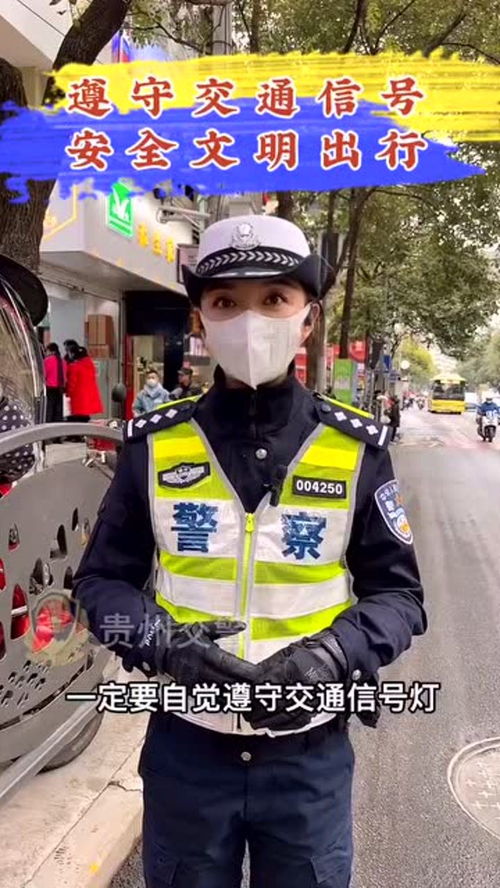 遵守交通信号,安全文明出行