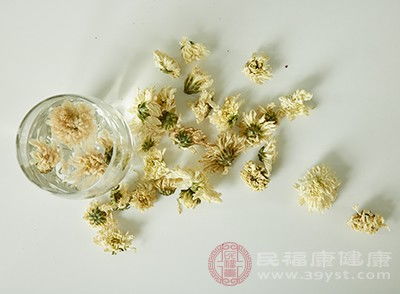 菊花茶的禁忌饮用菊花茶要牢记这6个禁忌