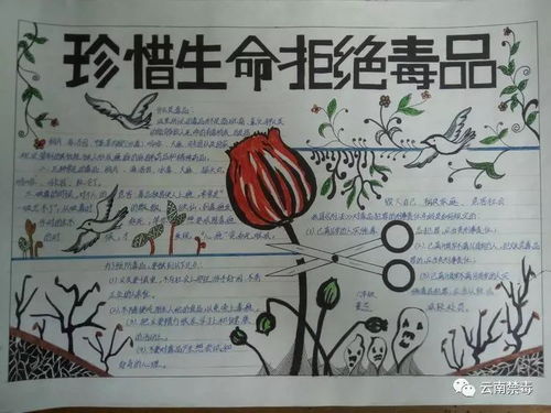 腾越镇民族完小禁毒工作有序有效开展,同学们学得可认真了呢