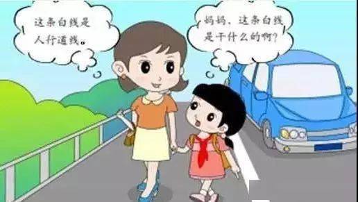 安全知识小学生交通安全知识宣传