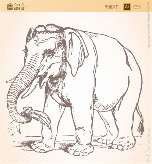 大象素描矢量图图片